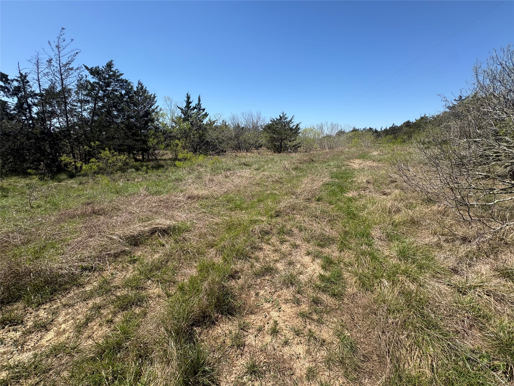 Tbd Patterson Road Flatonia, TX 78941 - Photo 22 of 35 View of nature featuring rural landscape