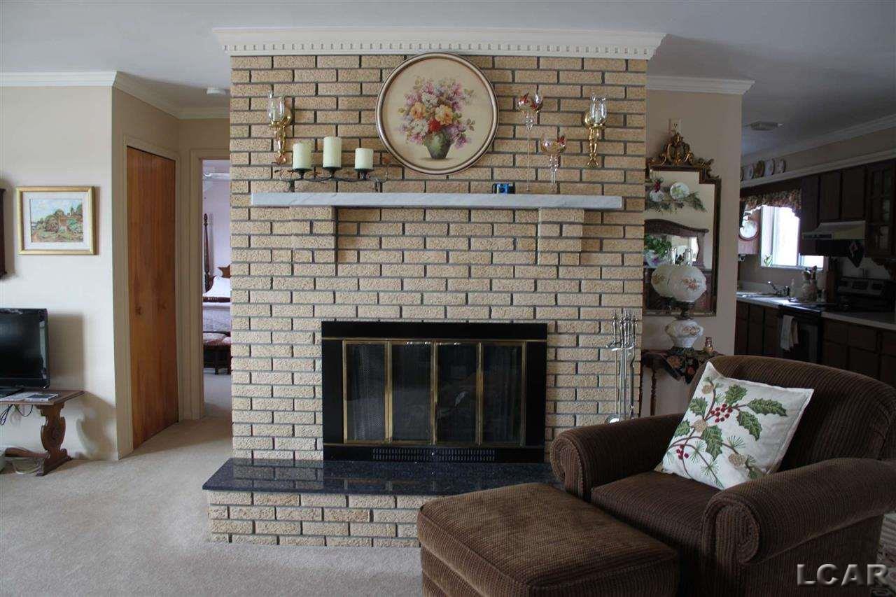 11690 Tecumseh Macon Road Clinton, MI 49236 - Photo 9 of 35 Great Room Fireplace