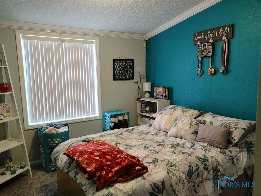 230 Reed Street McClure, OH 43534 - Photo 37 of 50 Gallery Image 37