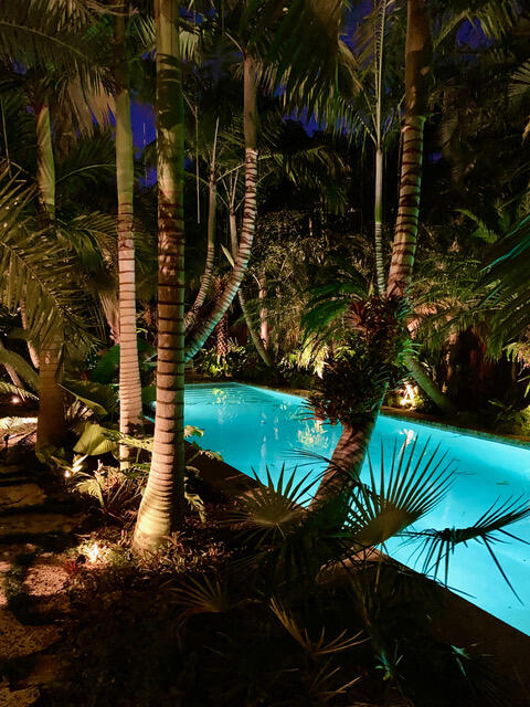 3130 Vincent Road West Palm Beach, FL 33405 - Photo 75 of 85 3130 Pool Night Lighted
