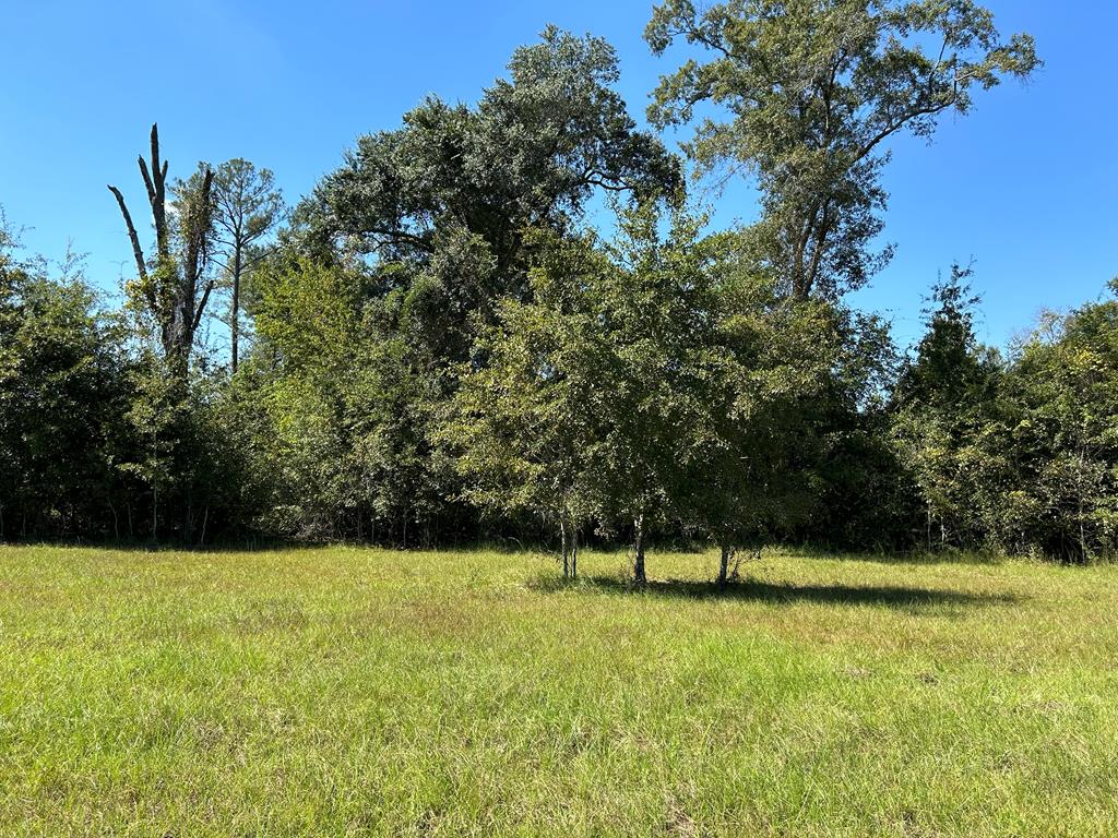 1.9-ac Barnes Road Gordon, AL 36343 - Photo 17 of 28