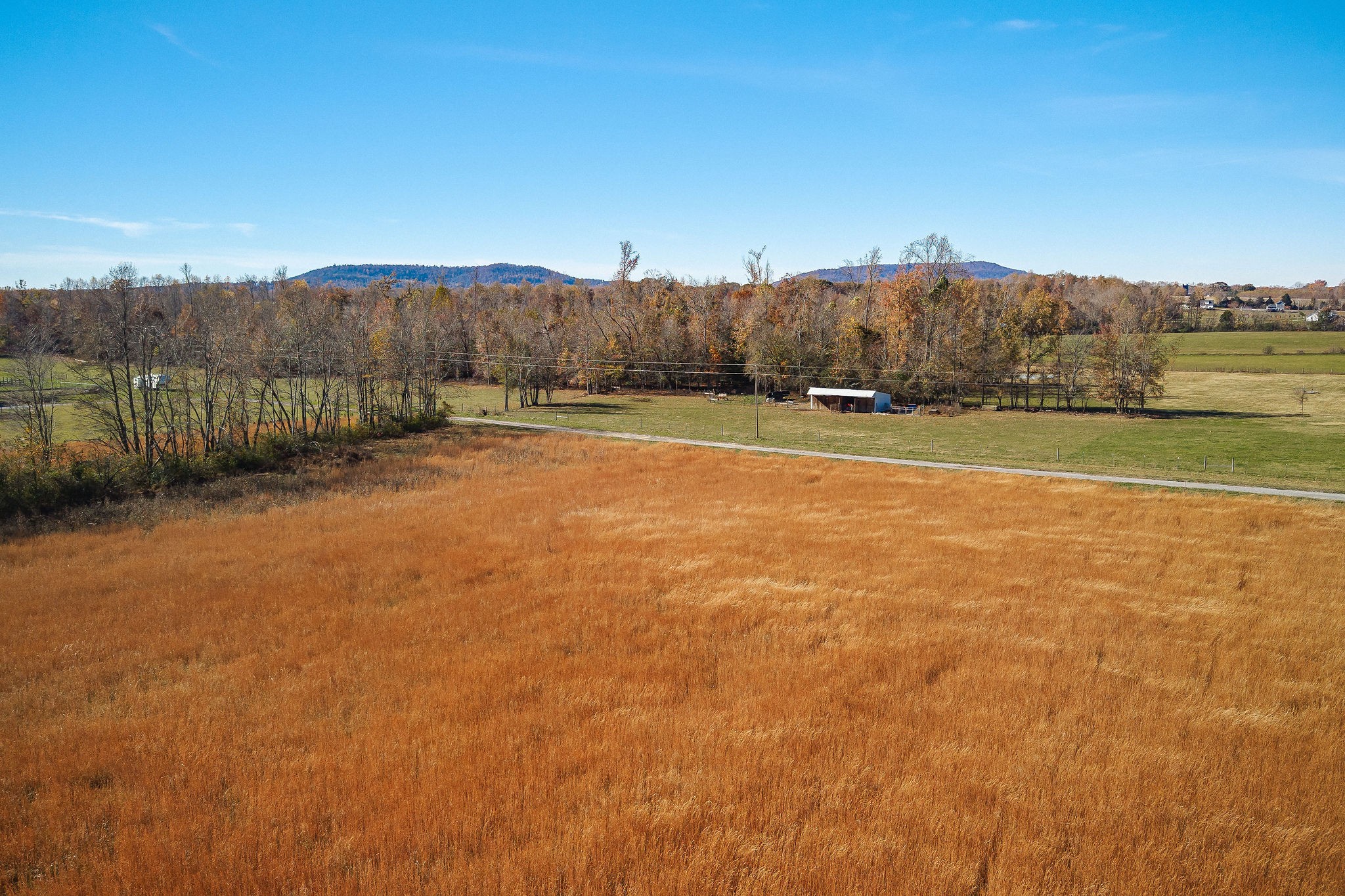 0 Herman Road Smithville, TN 37166 - Photo 10 of 15