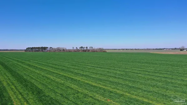 a view of a grassy field