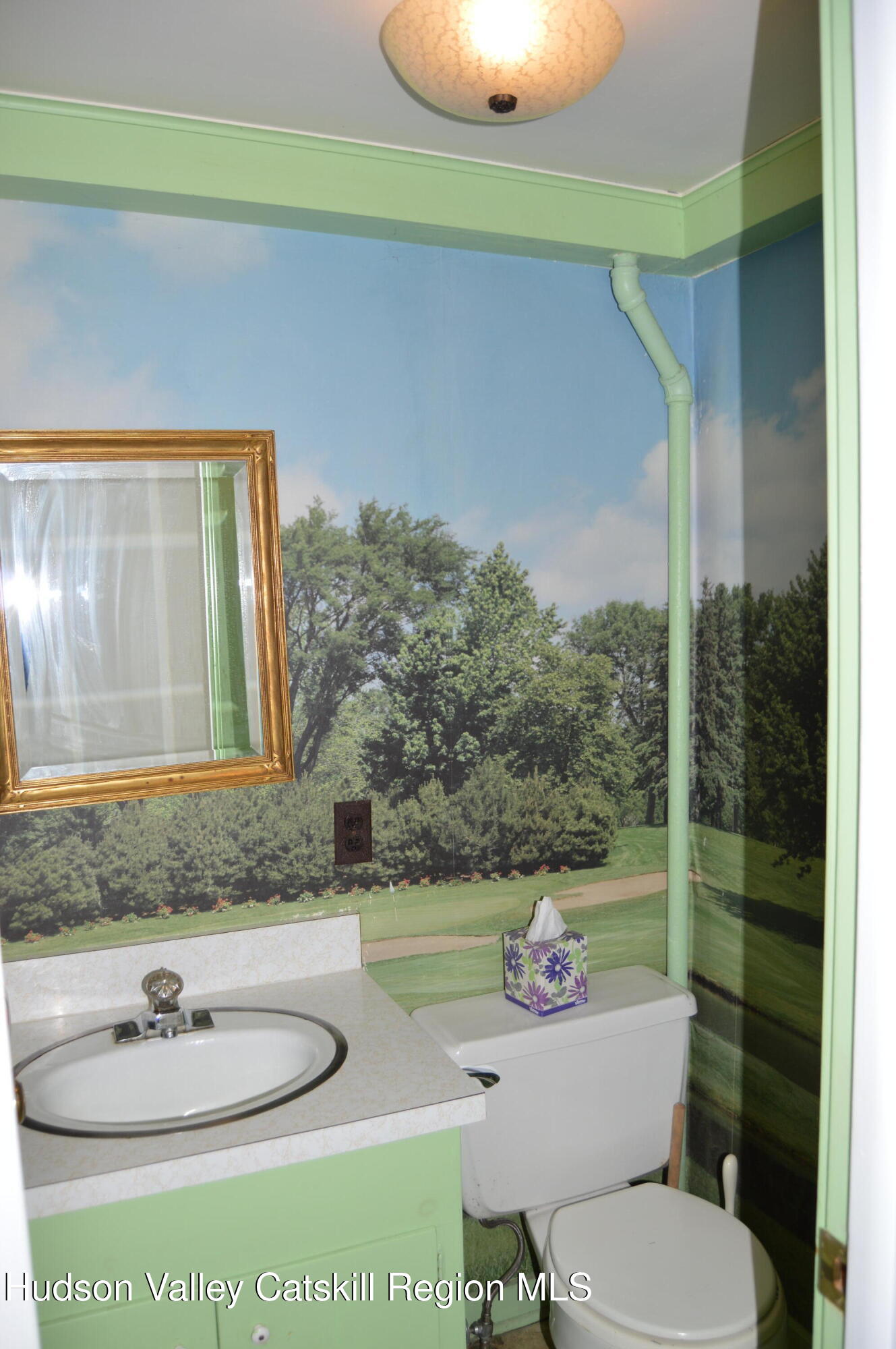 3493 County Road 7 Craryville, NY 12521 - Photo 30 of 36 a bathroom with a toilet a sink and a mirror
