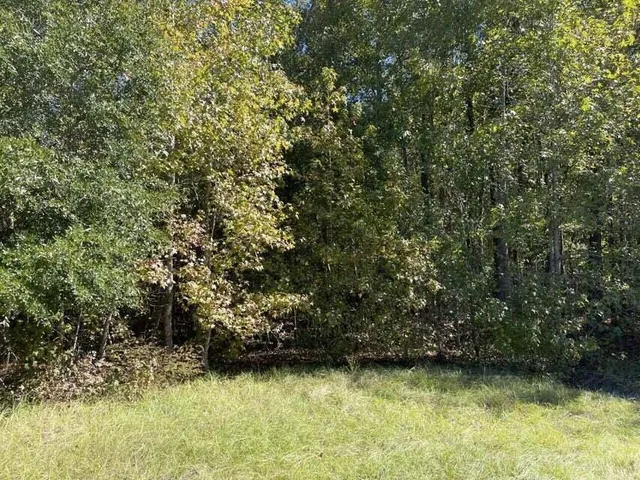 $120,000 | 0 Carolina Highway, Olar, SC 29843