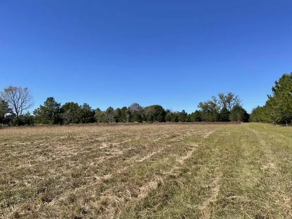 $110,000 | 0 Carolina Highway, Olar, SC 29843