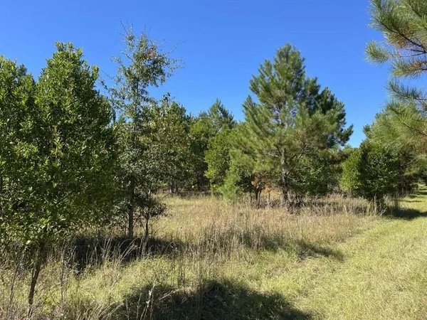 $110,000 | 0 Carolina Highway, Olar, SC 29843