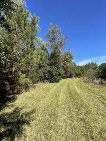 $120,000 | 0 Carolina Highway, Olar, SC 29843
