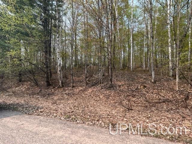 8 Old Co Road Negaunee, MI 49866 - Photo 12 of 14