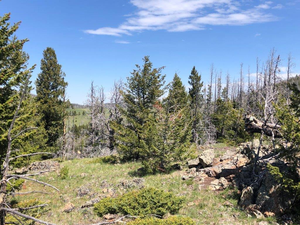 Tbd Indian Creek Road Townsend, MT 59644 - Photo 13 of 50 Gallery Image 13