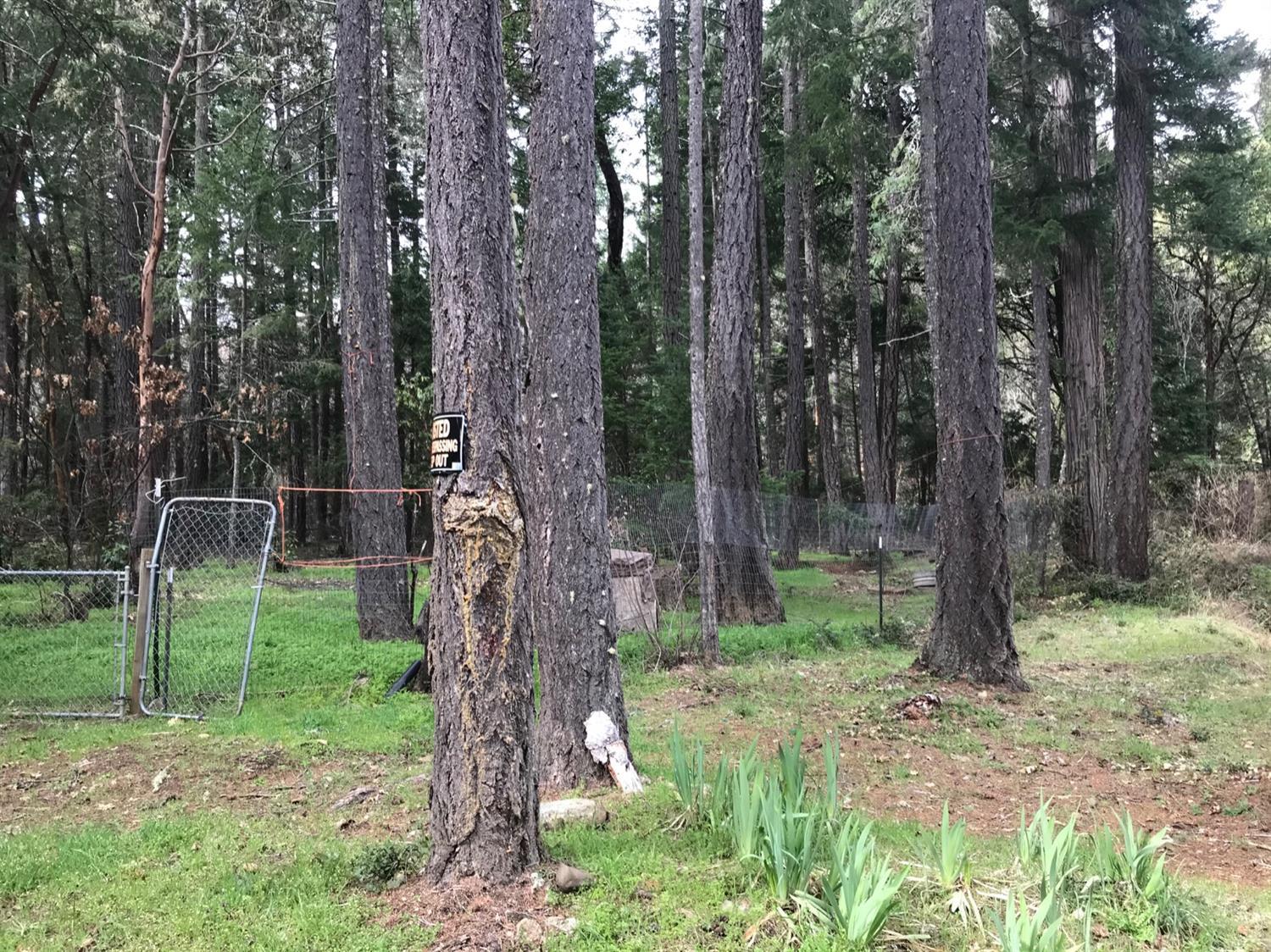 3700 Cedar Flat Road Williams, OR 97544 - Photo 11 of 18 Additional Photo