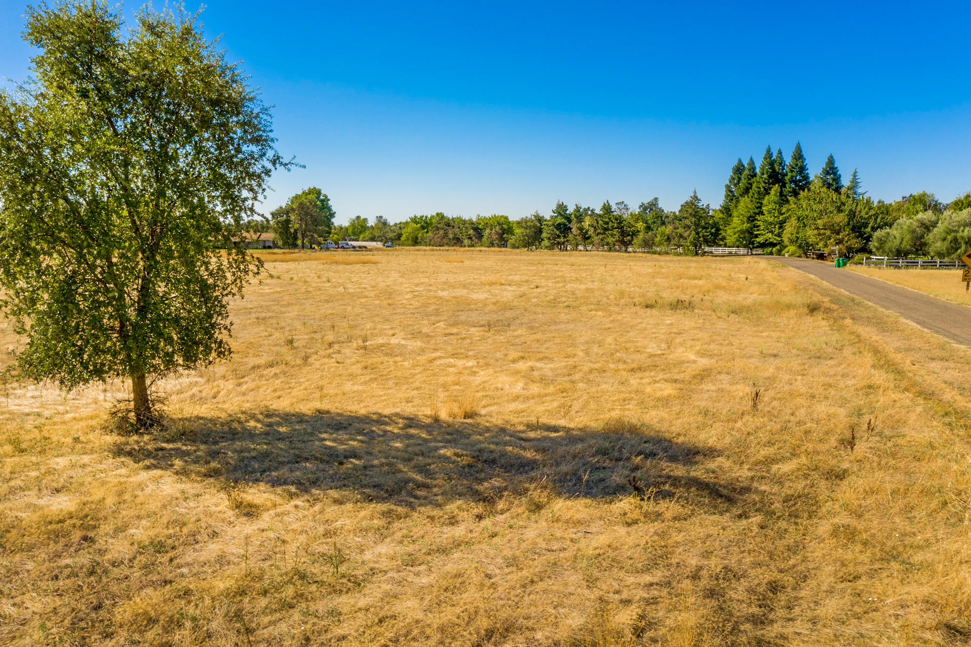 Lot 4 Silver Spur Road Palo Cedro, CA 96073 - Photo 18 of 19 10 Tree