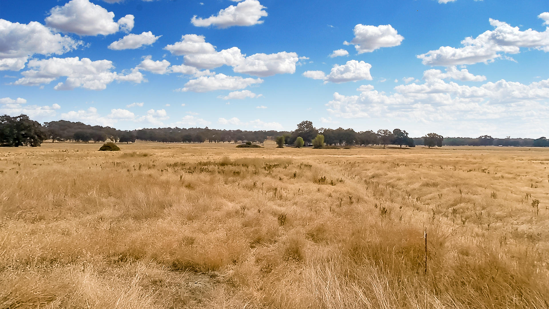 Lot 4 Silver Spur Road Palo Cedro, CA 96073 - Photo 6 of 19 vlcsnap-2018-08-21-15h27m59s760