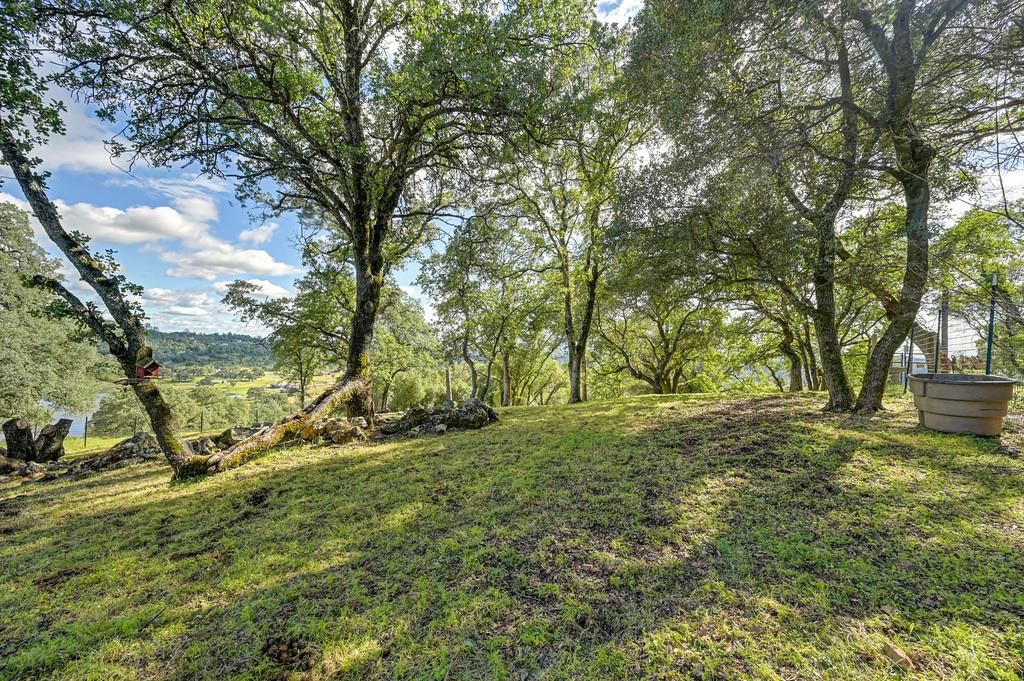 4101 Birdseye View Lane Placerville, CA 95667 - Photo 55 of 62