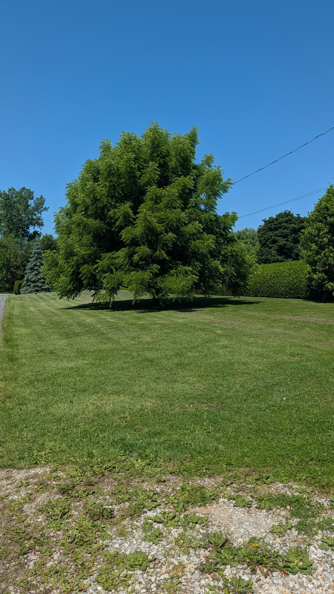 842 Point Au Roche Road Plattsburgh, NY 12901 - Photo 39 of 46