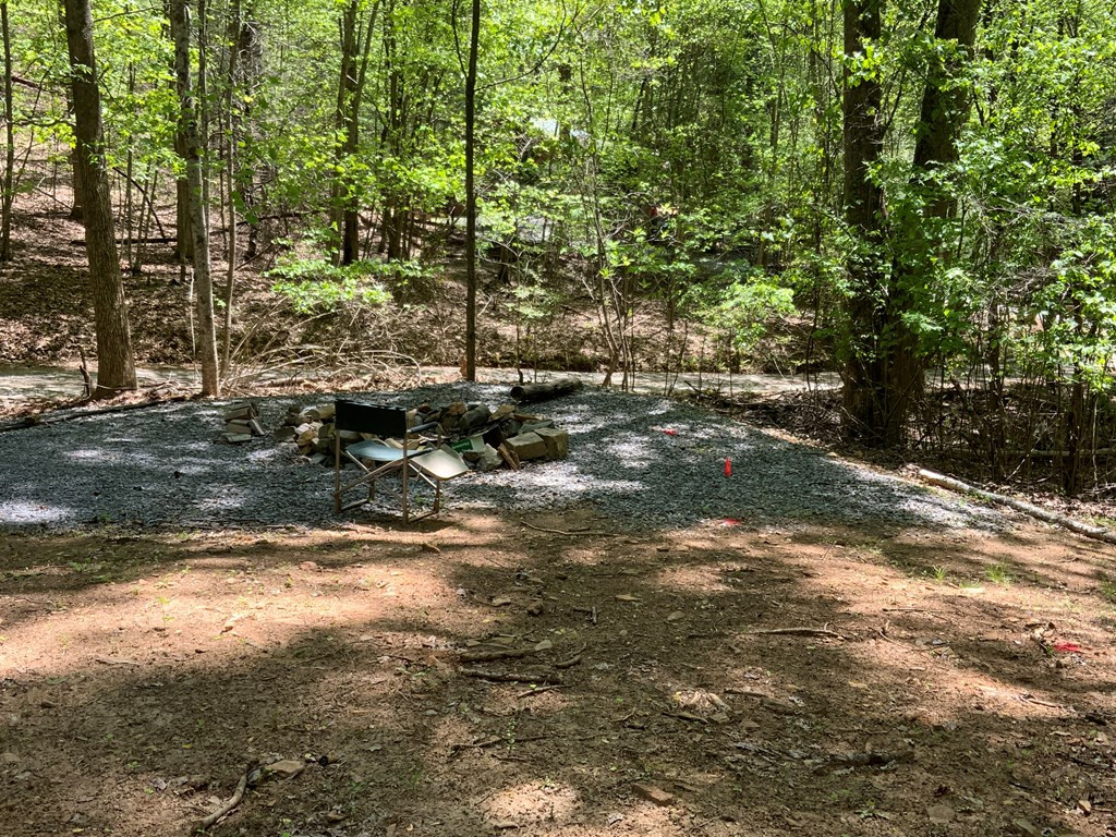 433 Damons Trail Murphy, NC 28906 - Photo 3 of 20