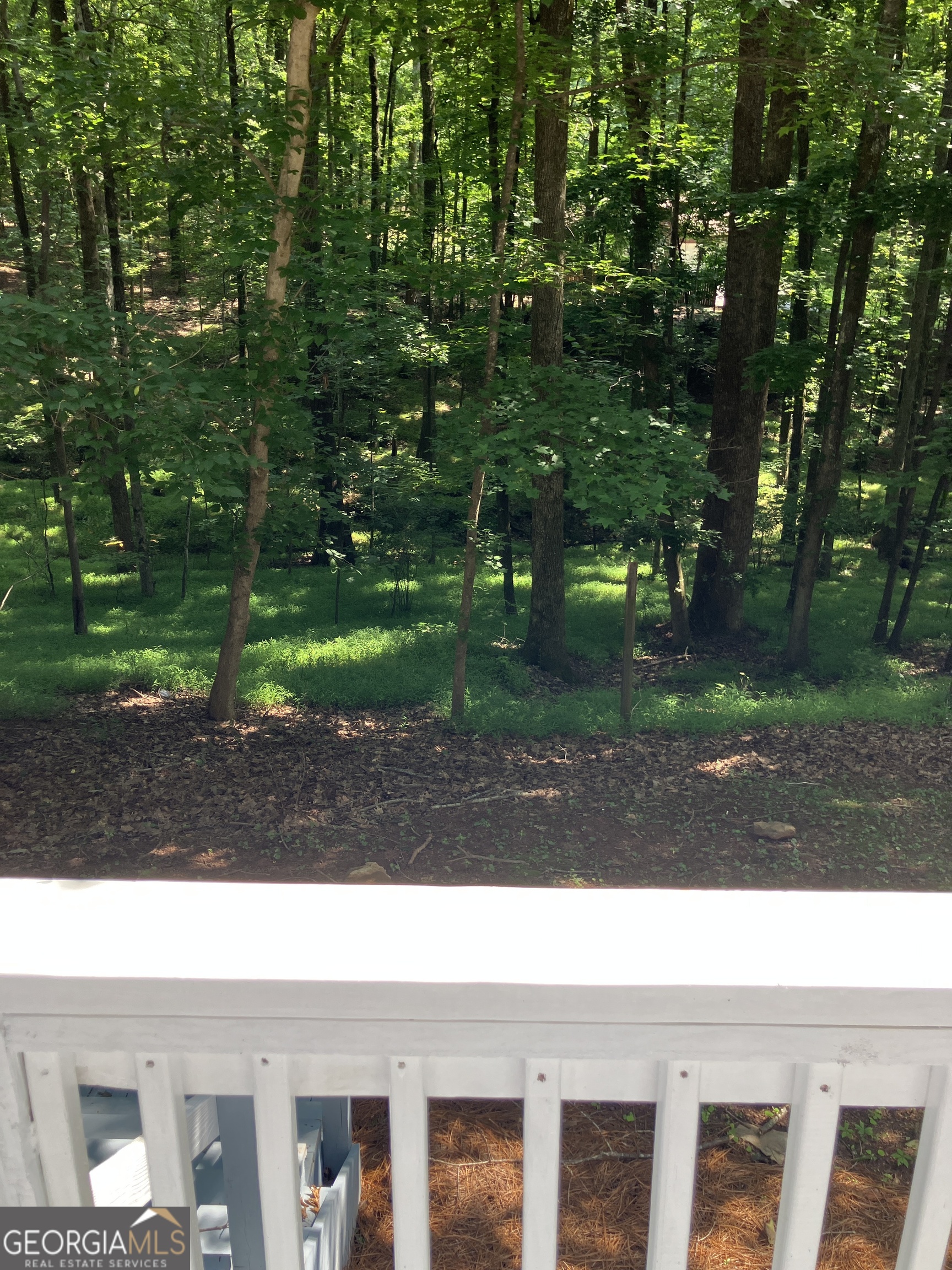 19 Rocky Shoals Road Palmetto, GA 30268 - Photo 21 of 27
