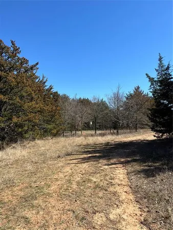a view of field with an trees