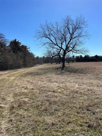 a view of field with trees in the background