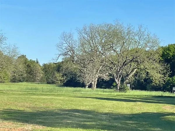 a view of outdoor space with deck and trees