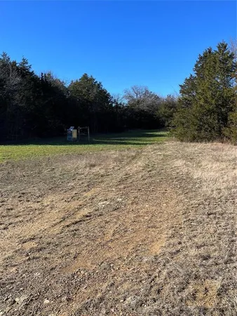 a view of a yard