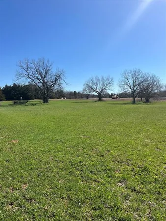 a view of a field with grass