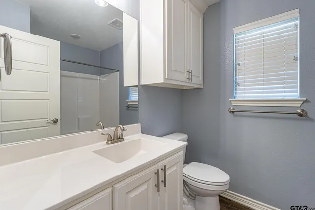 a bathroom with a sink toilet and vanity