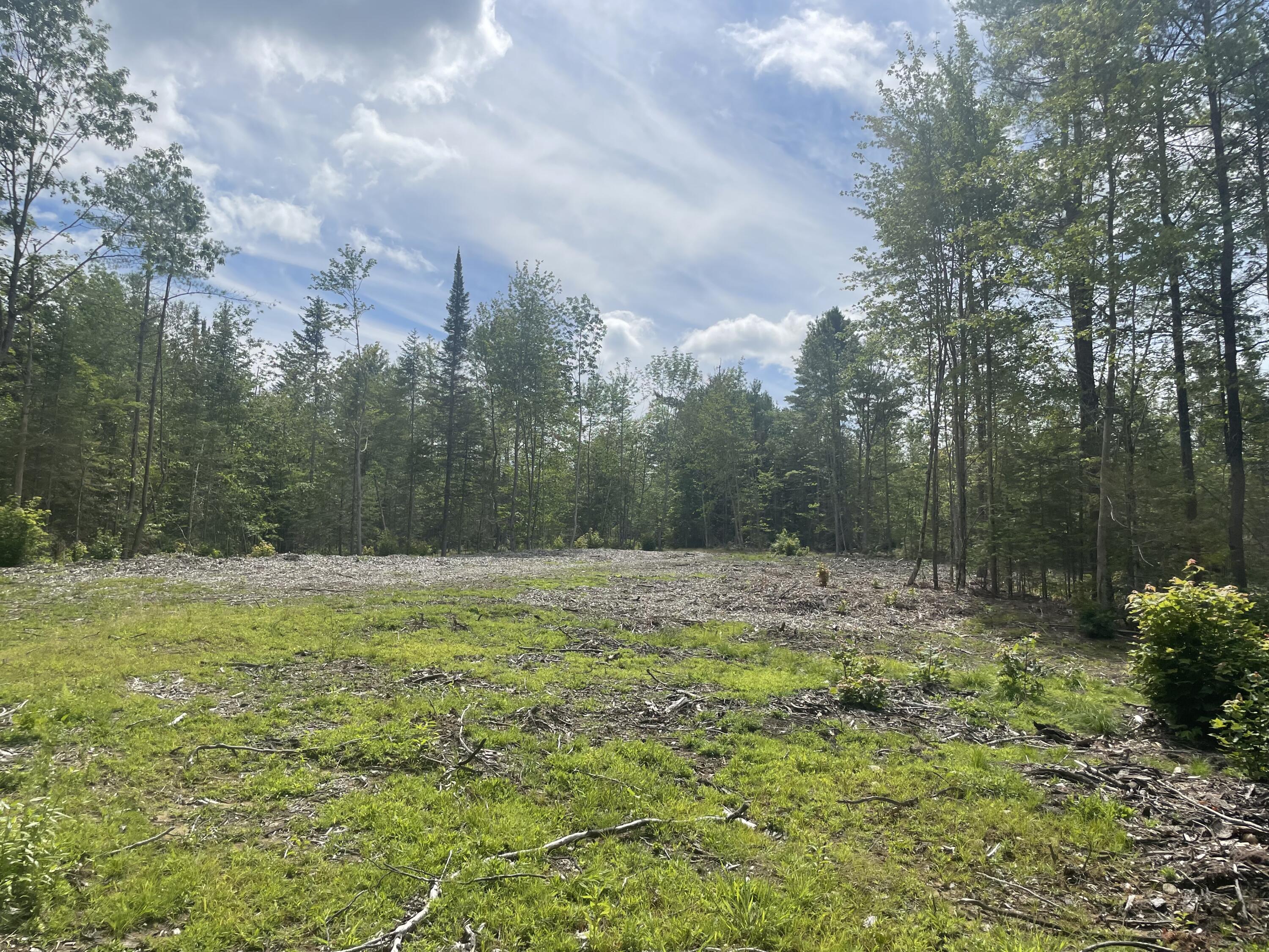 Tbd Grandview Road Bethel, ME 04217 - Photo 9 of 12 1E7D0F4C-FE20-4F61-8942-B254734268B9