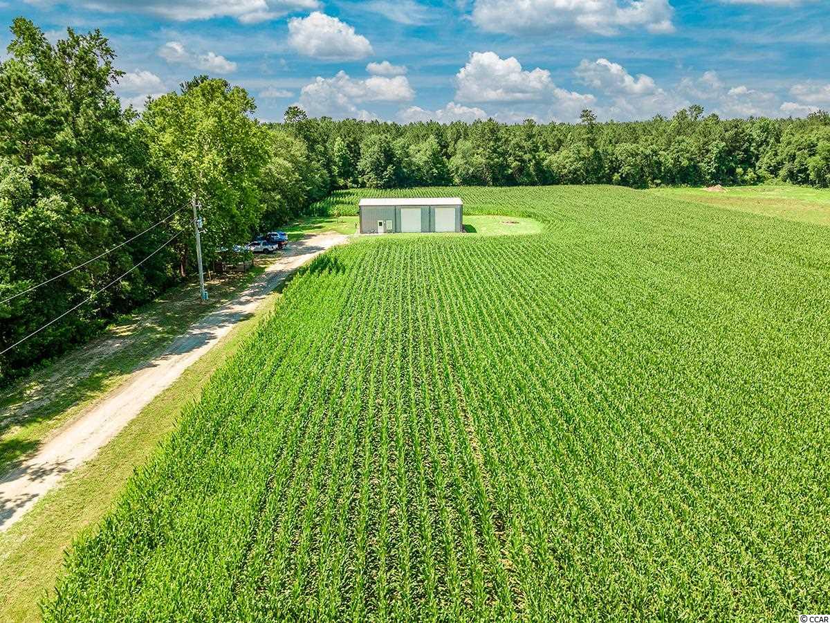 538 Knotty Branch Road Conway, SC 29527 - Photo 3 of 30 Gallery Image 3