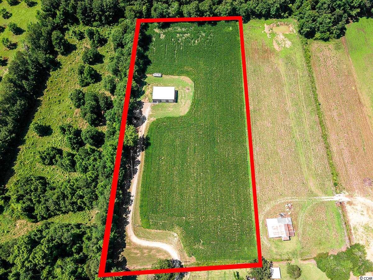 538 Knotty Branch Road Conway, SC 29527 - Photo 22 of 30 Gallery Image 22