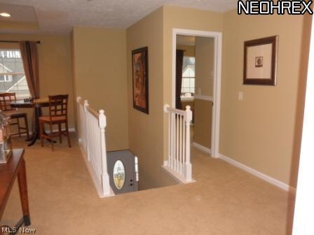 3717 Case Road Avon, OH 44011 - Photo 9 of 23