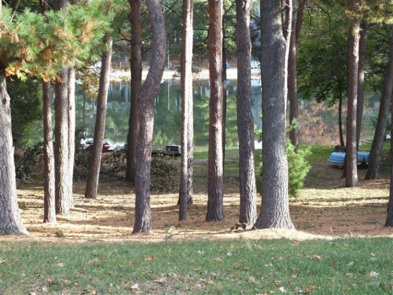 1864 North Ridge Road Mears, MI 49436 - Photo 20 of 25 Additional Photo