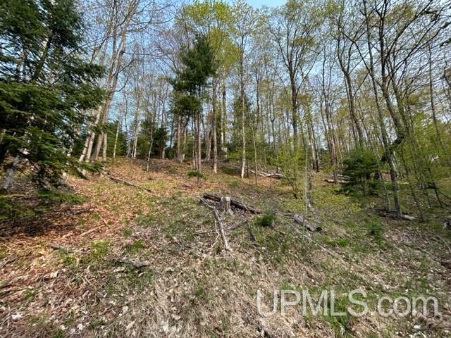 8 Old Co Road Negaunee, MI 49866 - Photo 13 of 14