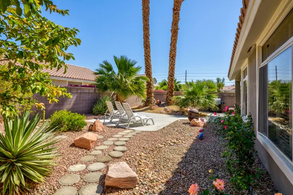 a potted plant sitting in front of a house