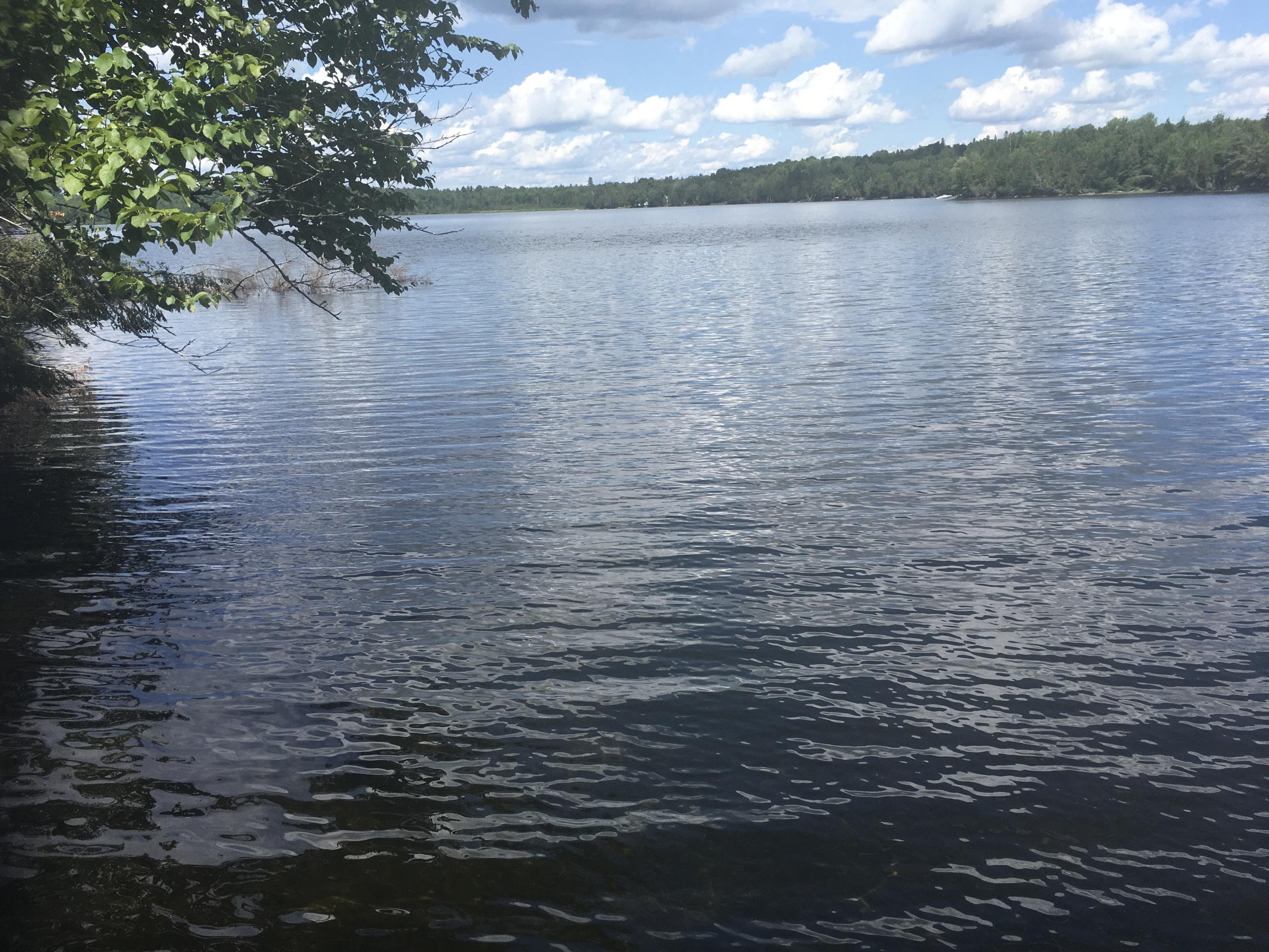 Lot # Shue Ripley, ME 04930 - Photo 5 of 9 56A86586-F3C4-430C-84E2-D9C01E6BF7A4