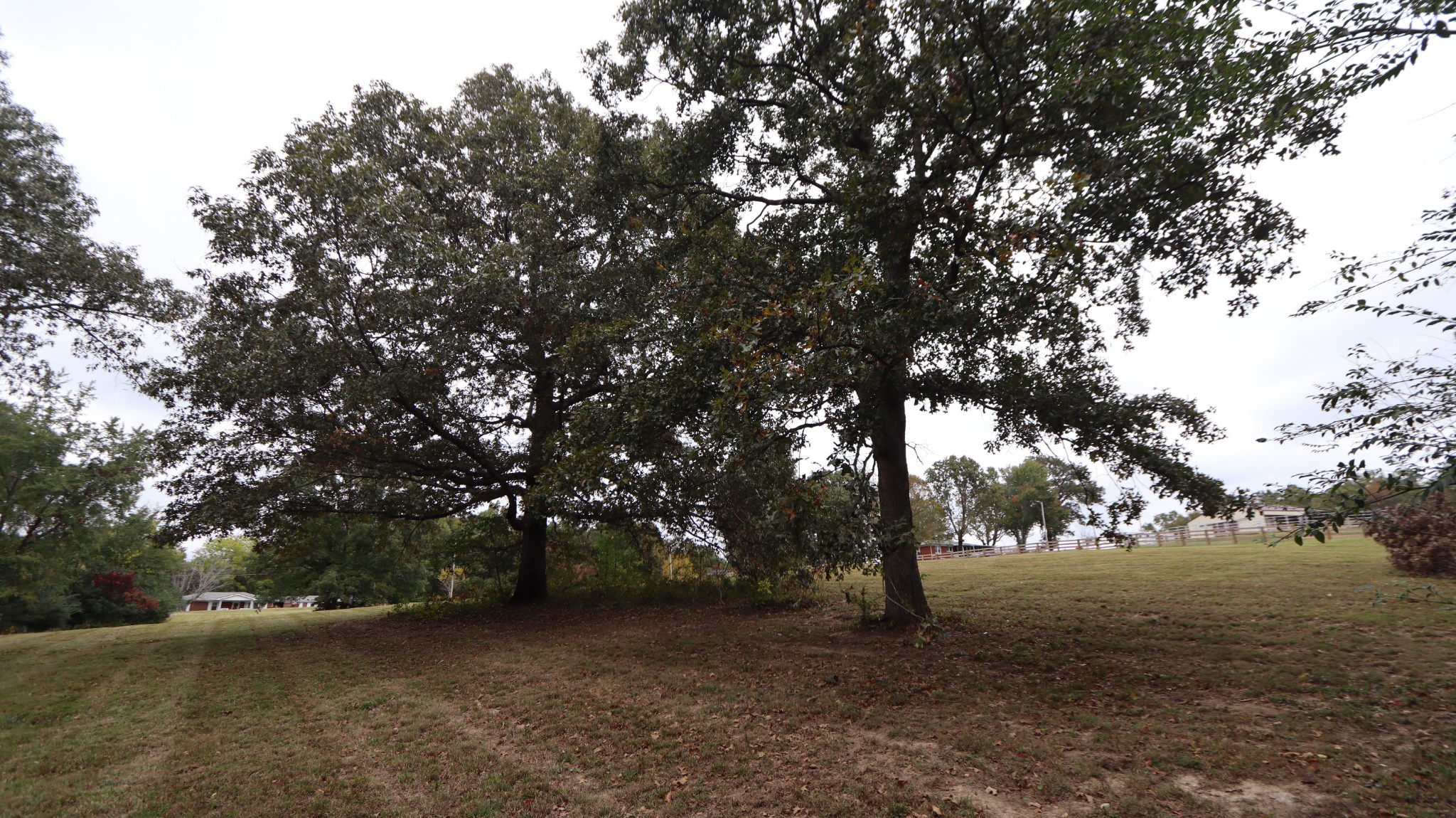 0 Piney Road Dickson, TN 37055 - Photo 11 of 27 a view of road and trees