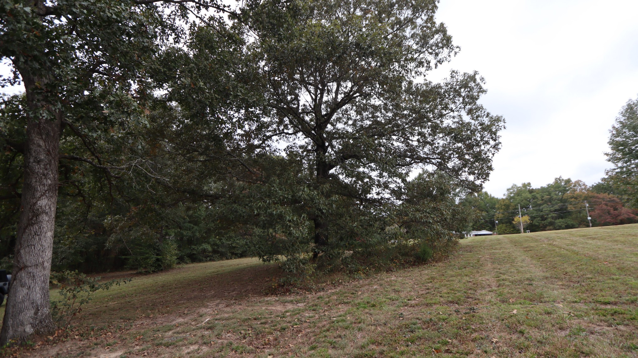 0 Piney Road Dickson, TN 37055 - Photo 23 of 27 a view of a forest with trees in the background