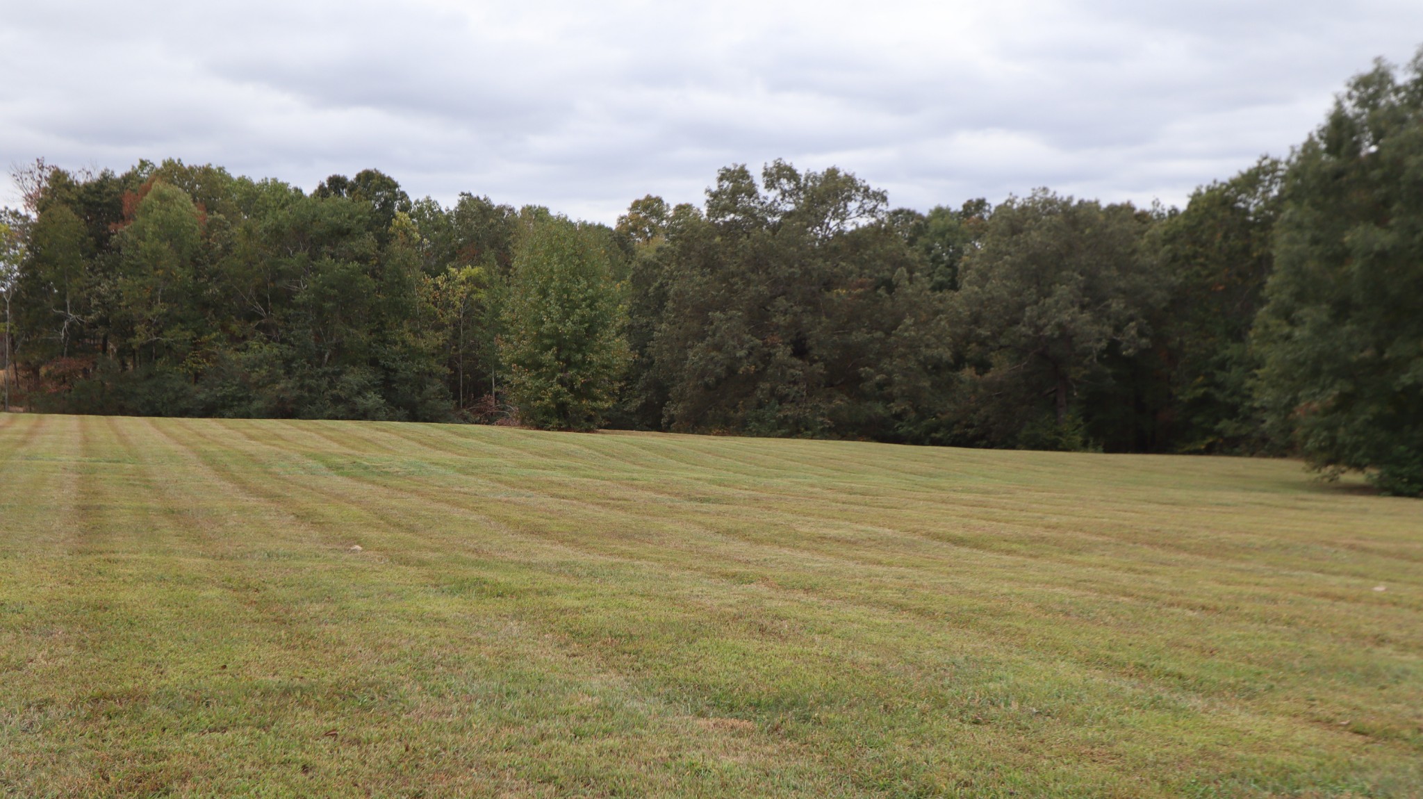 0 Piney Road Dickson, TN 37055 - Photo 5 of 27