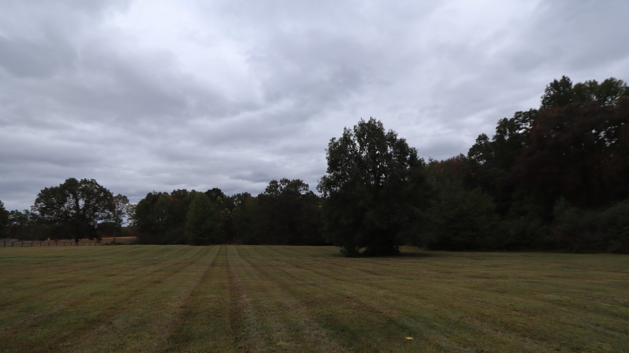 0 Piney Road Dickson, TN 37055 - Photo 7 of 27 a view of outdoor space and yard