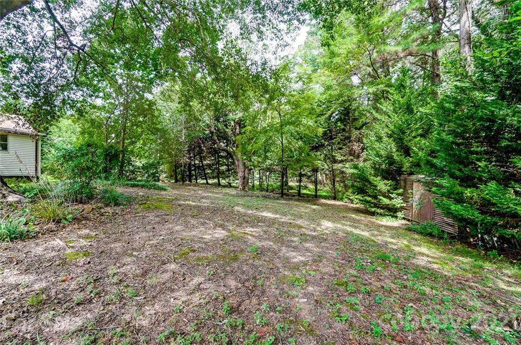 1429 Beth Haven Church Road Denver, NC 28037 - Photo 24 of 27 a view of outdoor space with trees
