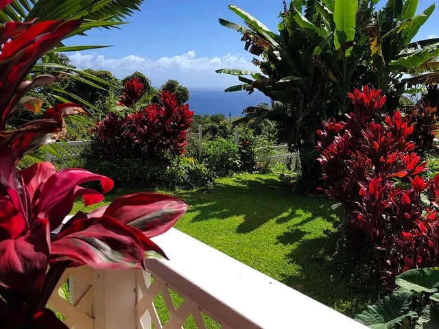 a view of a house with a flower garden