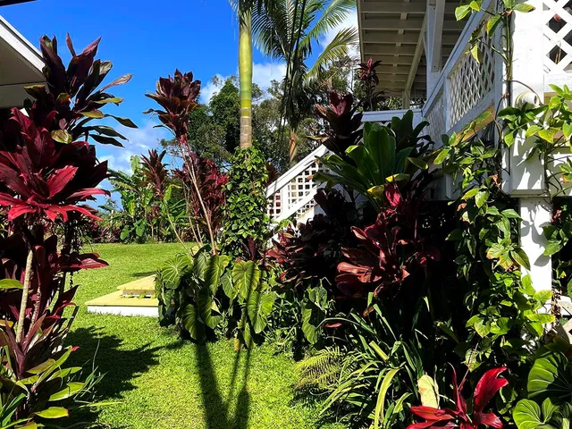 a plant that is in a flower pot