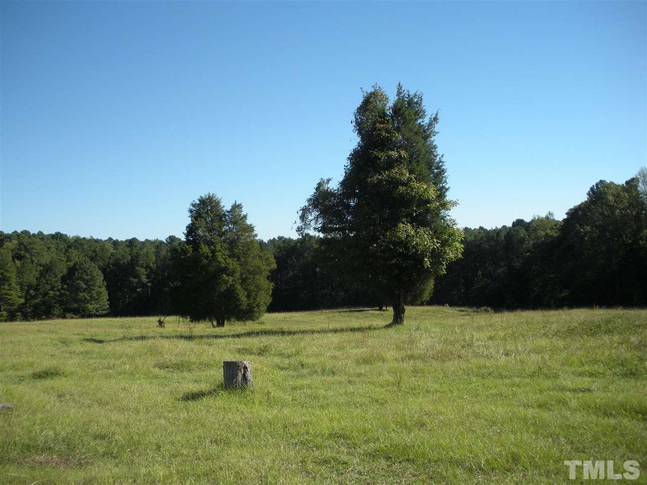 0 Castleberry Road Apex, NC 27523 - Photo 11 of 13 a view of outdoor space with garden