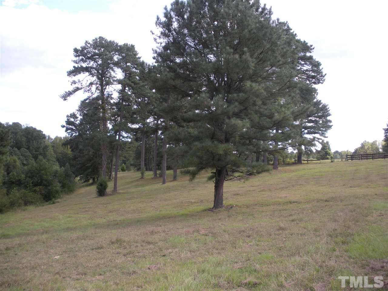 0 Castleberry Road Apex, NC 27523 - Photo 4 of 13 a view of empty field with trees