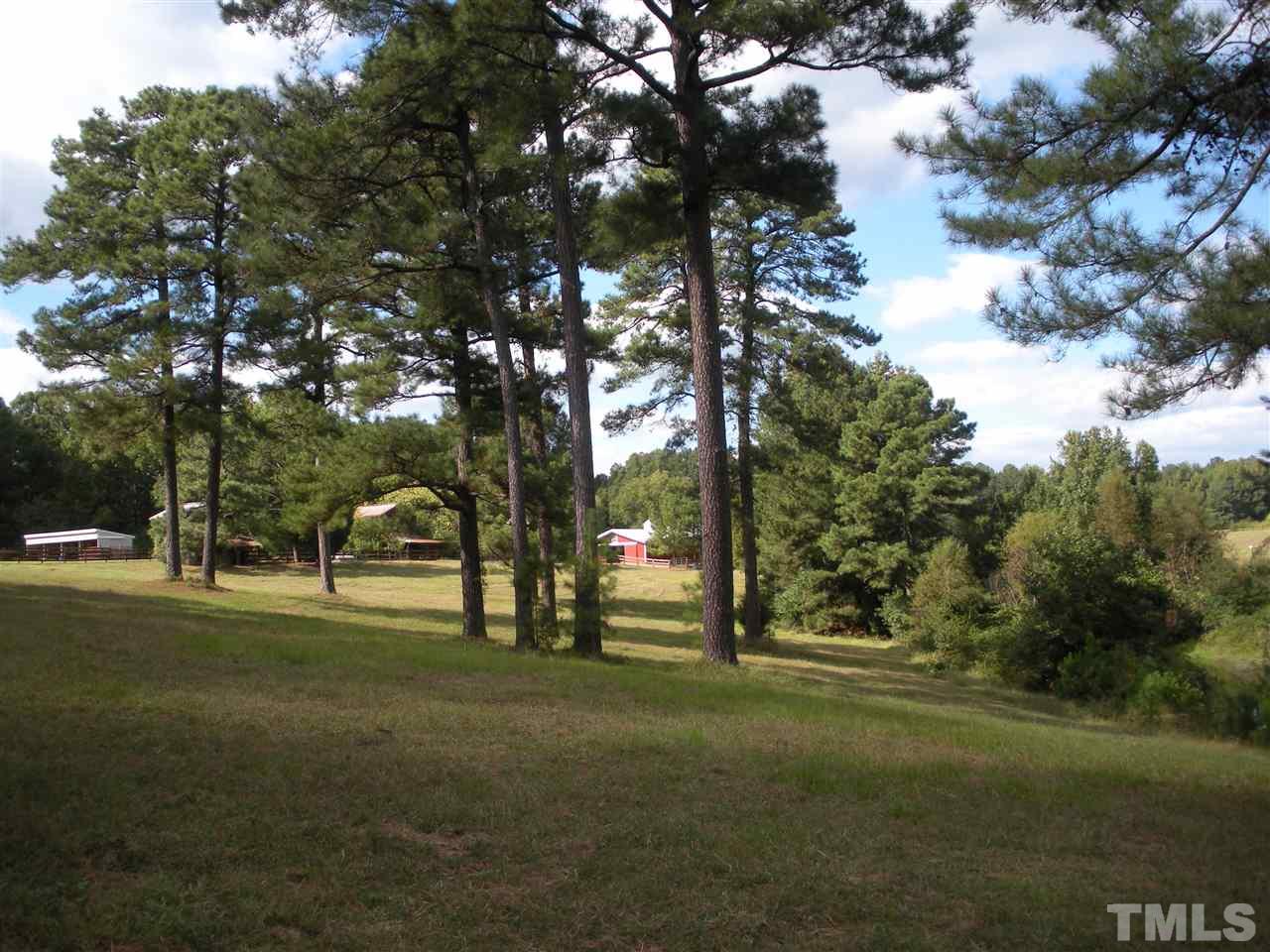 0 Castleberry Road Apex, NC 27523 - Photo 5 of 13 a view of park with trees