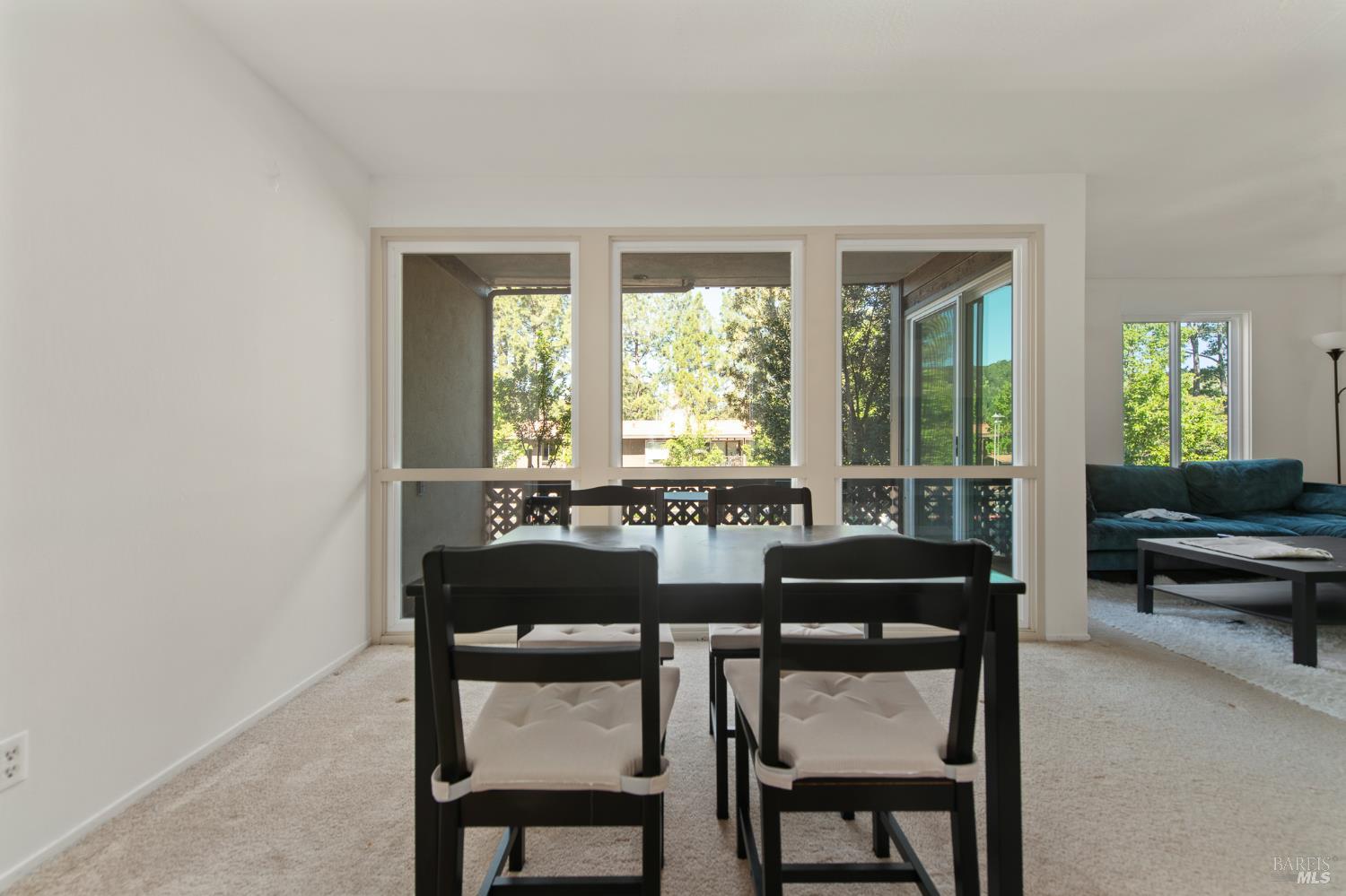 88 Forest Lane San Rafael, CA 94903 - Photo 2 of 26