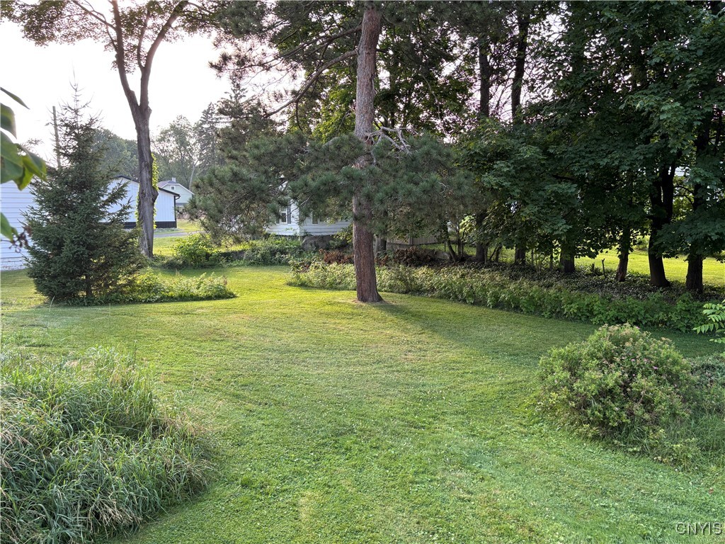 39 Standart Avenue Auburn, NY 13021 - Photo 12 of 22