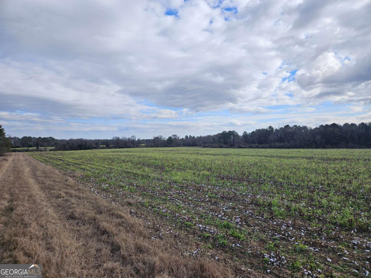 0 Garrett Road Ashburn, GA 31714 - Photo 11 of 16