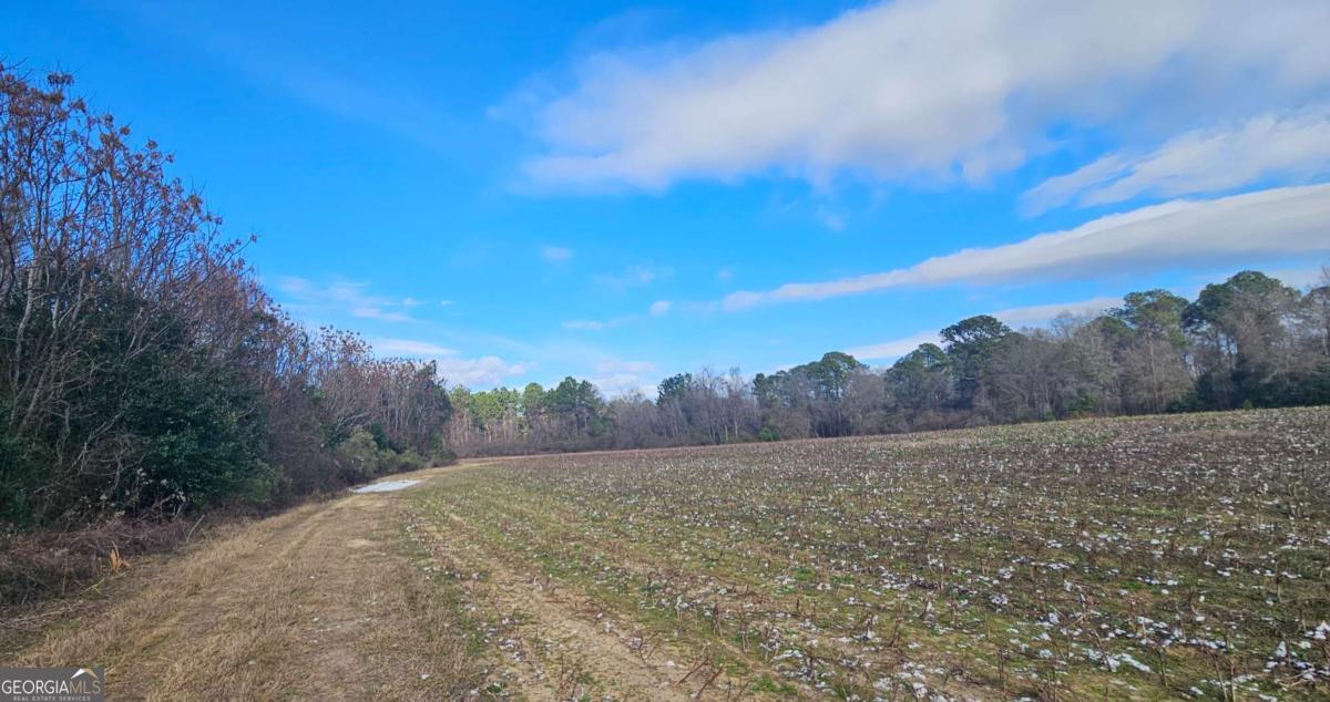 0 Garrett Road Ashburn, GA 31714 - Photo 14 of 16