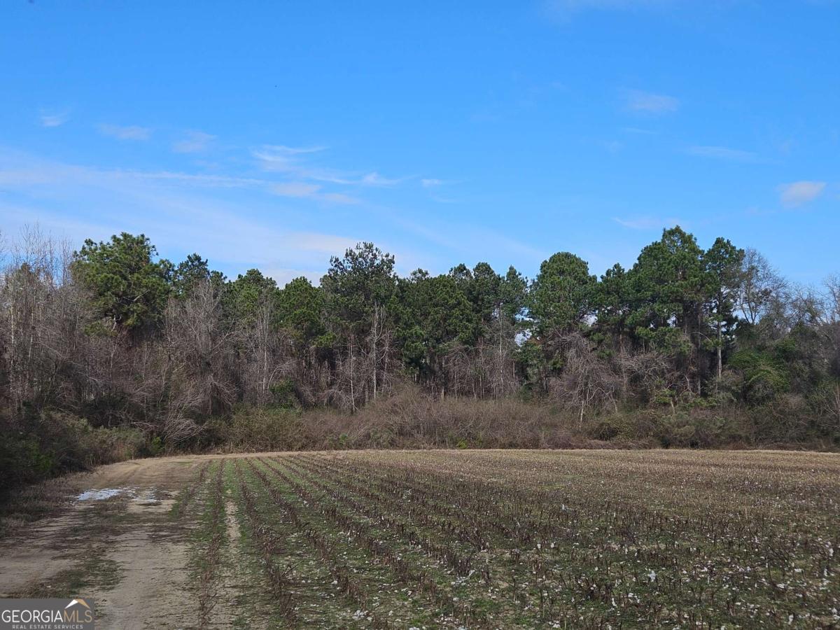 0 Garrett Road Ashburn, GA 31714 - Photo 15 of 16